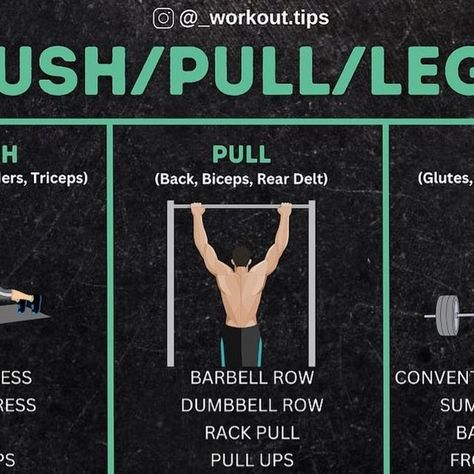 Marko Vrečko on Instagram: "BEST SPLIT? for me PUSH | PULL | LEGS…Chose 2-3 exercises for each muscle group 🫡
-

-
#biceps #bicepsworkout #bicepsday #workouttips #bodybuilding #fitness #nutrition #pullworkout #gymrat" Push Pull Legs, Barbell Row, Rear Delt, Biceps Workout, Bodybuilding Fitness, Muscle Groups, Gym Rat, Fitness Nutrition, Pull Ups