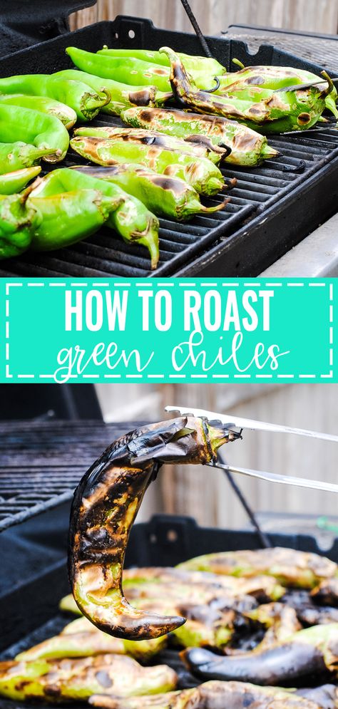 How To Roast Green Chilis On The Grill, Roasting Green Chilis On The Grill, How To Roast Hatch Green Chiles In Oven, Recipes For Hatch Chiles, Big Jim Peppers, Roasting Green Chilis, Big Jim Peppers Recipes, Hatch Chili Peppers, Hatch Green Chili Recipe