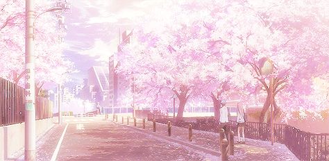 . Pink Gif Background, Pink Gif Banner, Pink Computer Wallpaper Gif, Cherry Blossom Discord Banner, Pink Banner Gif, Anime Cherry Blossom Gif, Cherry Blossom Aesthetic Gif, Pink Anime Scenery Gif, Pink Wallpaper Laptop