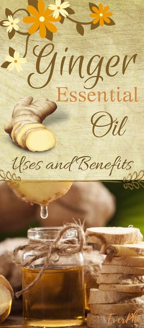 Ginger Essential Oil is considered one of the most effective oils to lose weight Thanks to the compounds of gingerols (the compounds which give chilli peppers and black pepper their respective spiciness) that ginger oil possesses, its anti-inflammatory effect and the ability to improve the absorption process of vitamins and minerals has been proven. Ginger Uses, Health Benefits Of Ginger, Chilli Peppers, Ginger Benefits, Essential Oils Guide, Ginger Essential Oil, Ginger Oil, Essential Oils For Skin, Essential Oil Benefits