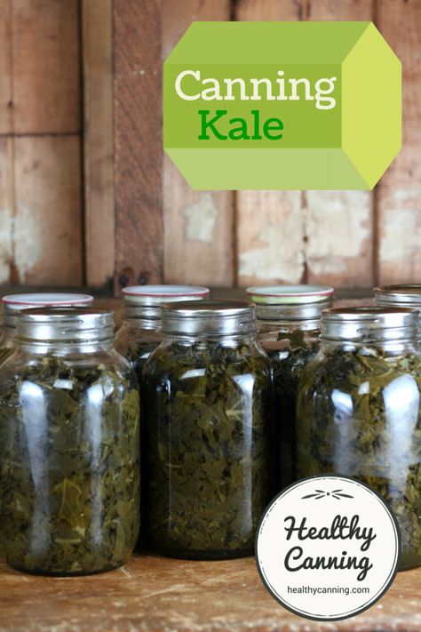 Canning Kale, Can Vegetables, Healthy Canning, Canning Granny, Freezing Kale, Baked Pasta Dishes, Pressure Canning Recipes, Canning Process, Home Canning Recipes