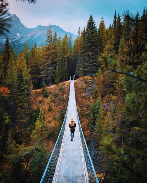 Canmore Alberta Aesthetic, Banff Activities, Alberta Hikes, Travel Bc, Banff Trip, Travel Alberta, Jasper National Park Canada, Alberta Canada Travel, 2023 Vacation