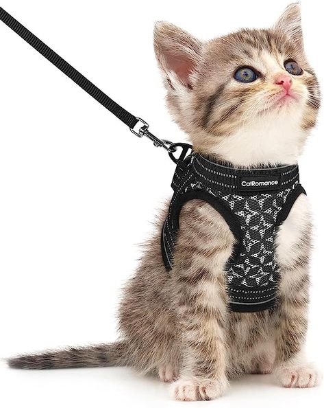 Pet Supplies : CatRomance Cat Harness and Leash, Escape Proof Kitten Harness and Leash Set for Walking, Adjustable Cat Vest Harness for Kitten, Breathable Kitty Harness ​with Reflective Strips and Easy Control : Amazon.com Best Cat Harness, Kitten Harness, Cat Harness And Leash, Small Kitten, Harness And Leash Set, Small Dog Harness, Dog Pool, Small Kittens, Dog Muzzle