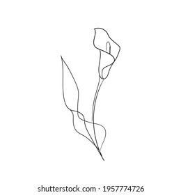 Calla lily flower one line drawing art. Line continuous style. Simple black and white logo, icon, design Calla Lily Flower Tattoos, Calilily Flower Tattoo, Cali Lily Tattoo, Peace Lilly Tatoos, Calla Flower Tattoo, Simple Lily Drawings, Single Line Lily Tattoo, Peace Lily Drawing, Cala Lily Tattoos