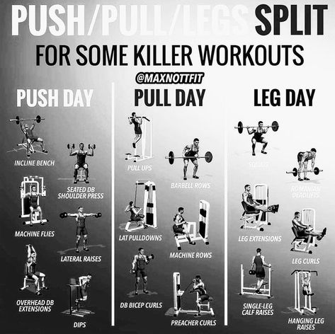 Push Pull Workout Routine, Push Pull Workout, Pull Workout, Pull Day Workout, Full Body Weight Workout, Workout Split, Workout Gym Routine, Gym Workout Guide, Full Body Dumbbell Workout