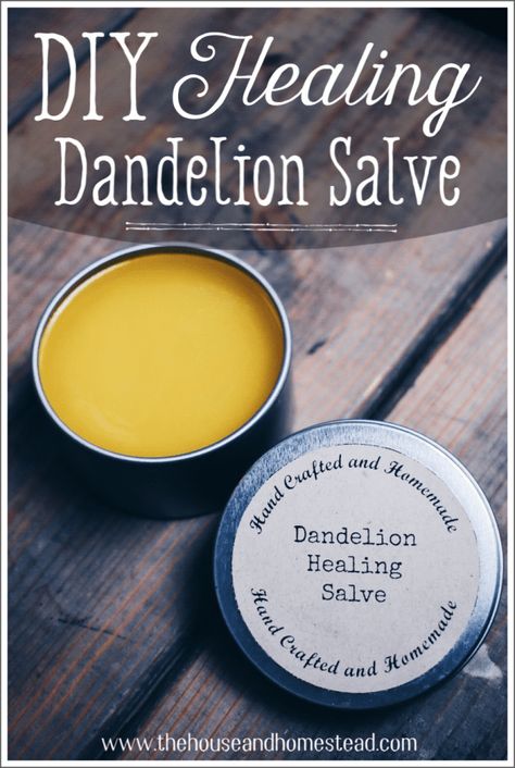 This DIY dandelion salve uses three simple ingredients including dandelion-infused oil made with dandelions picked right from your own home garden! It works wonders as a muscle rub, an herbal healing salve for cuts and scrapes and as a general moisturizer. And it makes use of the humble dandelion: loaded with medicinal properties but forgotten far too often! #dandelionsalve #dandelionoil Diy Dandelion, Dandelion Salve, Lotion Diy, Healing Salve, Salve Recipes, Muscle Rub, Herbal Salves, Infused Oil, Healing Salves