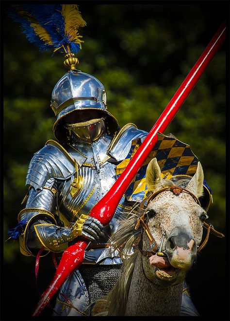 Beautiful Knight's armour Jousting Knight, Medieval Fair, Historical Armor, Armadura Medieval, Medieval World, Knight In Shining Armor, Knight Armor, Arm Armor, Medieval Armor