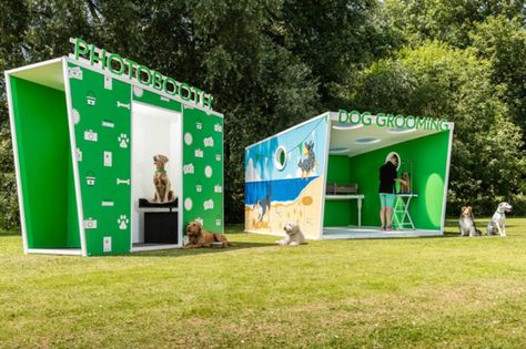 Event TV: More Than's passport photo booth for dogs Dog Photo Booth, Passport Photo Booth, Dog Activity, Dog Den, First Pet, Travel Documents, Passport Photo, Dog List, London Park