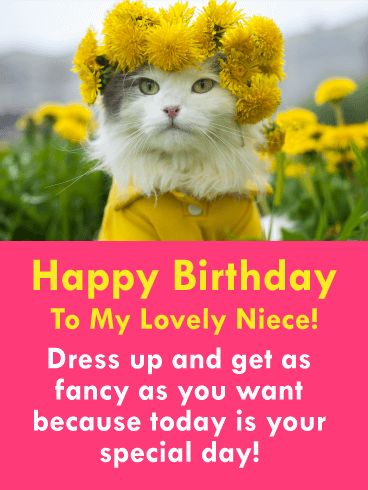 Get Fancy! Funny Birthday Card for Niece: If you are looking for an adorable cat birthday card to send to your lovely niece, then your search is over! This happy birthday card will give your niece a little laugh, and she will just adore the fact that the cat is wearing yellow flowers in her hair, as well as a matching coat. So cute! It will remind your niece that it's her special day so she can get fancy and dress up for the occasion! Happy Birthday To My Niece Funny, Happy Birthday Neices Quotes Funny, Birthday Wishes For Niece Funny, Niece Birthday Quotes Funny, Happy Birthday Funny Niece, Funny Niece Birthday, Birthday Niece Funny, Happy Birthday Niece Funny, Niece Birthday Quotes