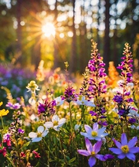 Wildflowers Photography, Wild Flower Meadow, Spring Wildflowers, Bloom Where You Are Planted, Landscape Photography Nature, Floral Photography, Pretty Plants, Beautiful Flowers Pictures, Nature Backgrounds