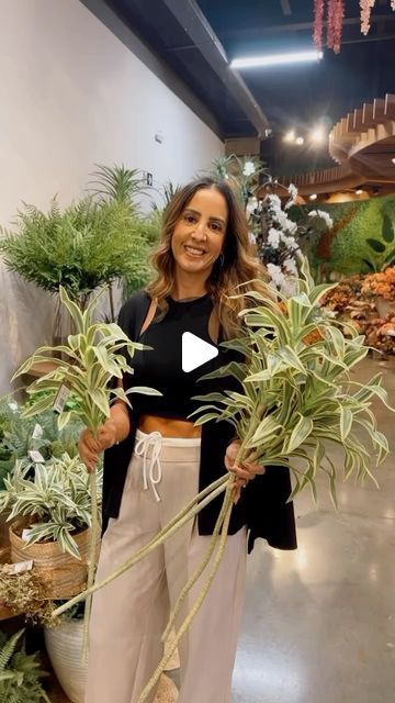 Renata Mendonça|Representante on Instagram: "Quem aí ama perfeição? A Dracena Reflexa é incrível pra quem busca um arranjo simples, mas cheio de personalidade! Uma proposta contemporânea que é puro charme… E por aqui, sigo apaixonada com o realismo das plantas permanentes da @florarte !✨ Se você quer conhecer mais sobre esse universo extraordinário, #vemcomadrd ! Vamos te mostrar tudo!😉  https://www.drdrepresentacoes.com.br/  #drdrepresentacoes #florarte #parceriadesucesso #lançamento #tendencia #plantaspermanentes #realismo #lojistas #mg #consultoria #omelhorparaoseunegócio" Dracena Reflexa, March 20, On Instagram