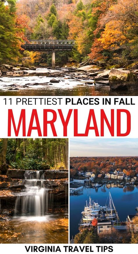 Places To Visit In Maryland, Maryland Day Trips, Visit Maryland, Washington Dc Vacation, Dc Vacation, Gorgeous Places, Virginia Travel, Leaf Peeping, Annapolis Maryland