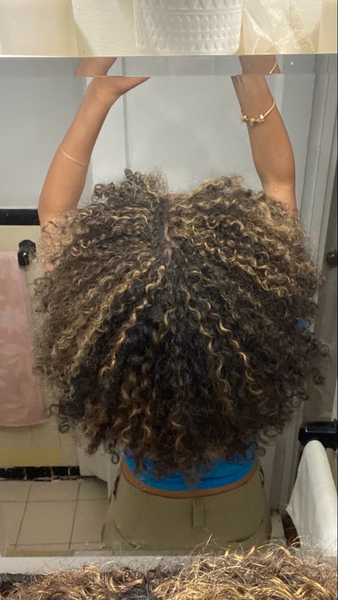 Curly Hair With Babylights, 4c Highlights, Afro With Highlights, Highlights 4c Hair, Blond Highlights Curly Hair, Afro Highlights, Crown Highlights, Blonde Highlights Curly Hair, Natural Hair Highlights