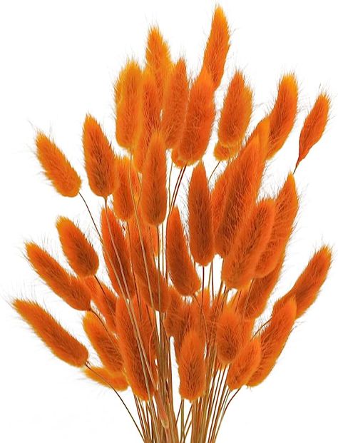 Amazon.com: Uieke 17’’ Natural Bunny Tails Dried Flowers, 50 Pcs Dried Lagurus Ovatus, Dried Pampas Grass for Flower Arrangements Wedding Centerpieces Home Boho Baby Shower Party Fall Decorations (Orange) : Grocery & Gourmet Food Grass Centerpiece, Baby Shower Boho, Bohemian Baby Shower, Dried Pampas, Grass Decor, Pampas Grass Decor, Bohemian Baby, Fall Floral Arrangements, Grass Wedding