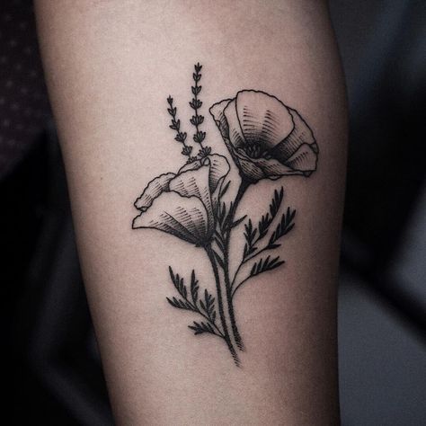 205+ Prettiest Poppy Tattoo Ideas (2024) - TattoosBoyGirl Rose And Poppy Tattoo, Poppy Tattoo Men, Traditional Poppy Tattoo, California Poppy Drawing, Poppy Tattoo Ideas, Poppy Tattoo Meaning, Poppy Tattoos, California Poppy Tattoo, Poppy Flower Tattoo