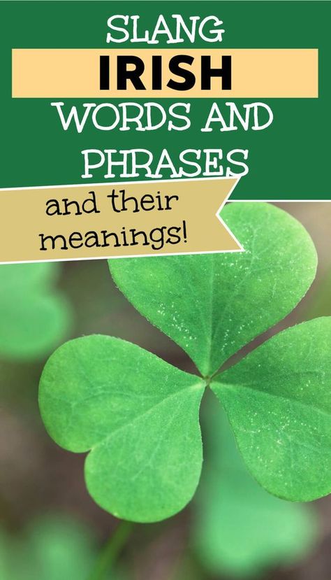 Irish Slang Words, Irish Words And Meanings, Irish Citizenship, Irish Signs, Irish Mafia, Irish Phrases, Irish Slang, Irish Sayings, Slang Phrases