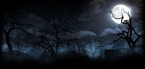 Halloween Cover Photos, Mysterious History, Paranormal Activities, Halloween Desktop Wallpaper, Dark Night Sky, Scary Wallpaper, Computer Wallpaper Desktop Wallpapers, Halloween Moon, Night Background