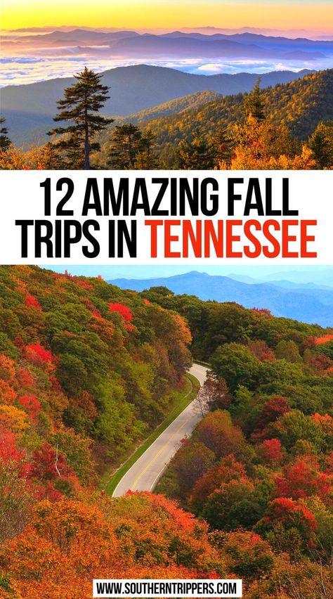 12 Amazing Fall Trips in Tennessee Fall In Tennessee, Fall Tennessee, Tennessee Fall, Things To Do In Fall, Tennessee Gatlinburg, Fall Foliage Trips, Autumn Things, Travel Autumn, Tennessee Travel