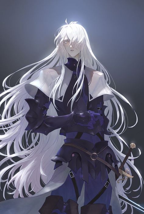 White Hair Men, Evil Knight, Anime Knight, Best Armor, Long White Hair, Evil Anime, Knight Art, Cartoon Man, Fate Anime Series