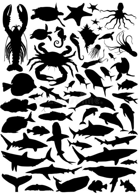 Scuba Vbs, Fish Silhouette, Animal Stencil, Underwater Fish, 5th Grade Art, Silhouette Template, Fish Vector, Animal Tracks, Silhouette Clip Art