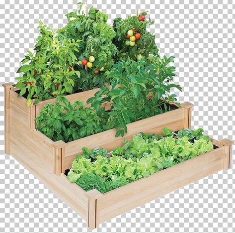 Urban Planters, Mala Design, Birds Png, Box Clipart, Vegetable Garden Ideas, Small Flower Gardens, Modern Gazebo, Urban Intervention, Vegetable Planters