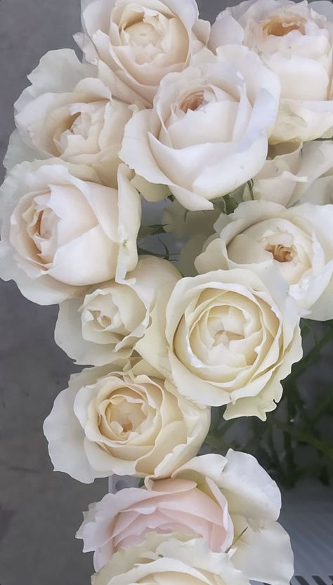 White And Taupe Wedding Flowers, Quicksand Rose Wedding, Taupe Wedding Florals, Wedding Flowers Champagne Color Palettes, Creams And Whotes Wedding Flowers, Quicksand Roses Wedding, Blush Flowers, Neutral Wedding, Rose Wedding