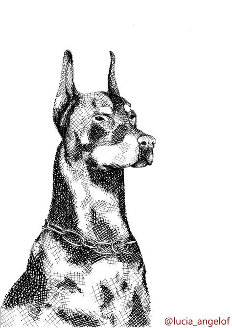 Black And White Shaded Drawings, Hatching Animal Drawing, Cross Hatch Tattoo, Cross Hatching Drawing Easy, Cross Hatching Drawing Sketches, Cross Shading, Cross Hatching Portrait, Cross Hatching Shading, Hatching Drawing Sketches