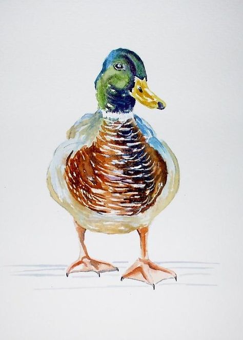 Duck Watercolor, Loose Watercolour, Frozen Water, Duck Art, Bird Artwork, Mallard Duck, Bird Pictures, Bird Illustration, Watercolor Bird