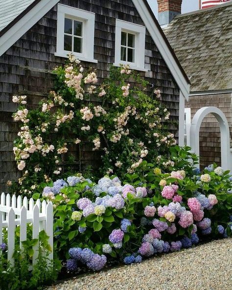 Nantucket cottage with flowers in bloom. COME TOUR MORE Nantucket Style Chic House With Flowers, Nantucket Cottage, Nantucket Style, Cottage Garden Design, White Picket Fence, Beach Cottage Decor, Beach Cottage Style, Climbing Roses, Picket Fence