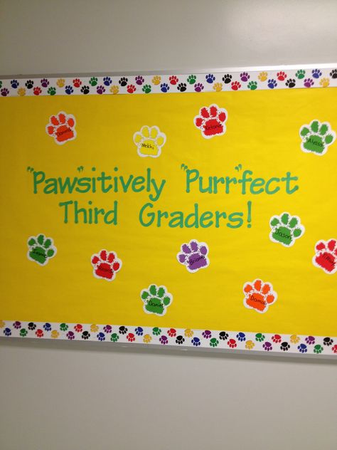 "Paw"sitively "Purr"fect Third Graders Welcome bulletin board. Dog Bulletin Board, Cork Board Ideas, Elementary Bulletin Boards, Brag Board, Reading Bulletin Boards, Preschool Bulletin, Preschool Bulletin Boards, Dog Wall Decor, Bulletin Board Ideas