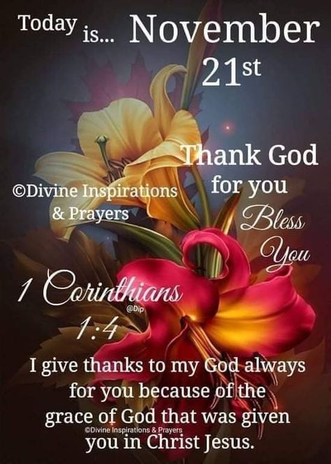 November 21 Bible Verse, November 12 Quotes, November 21 Blessings, November 20 Blessings, Welcome November, November Quotes, 21st Quotes, Good Morning Beautiful Quotes, Blessed Quotes