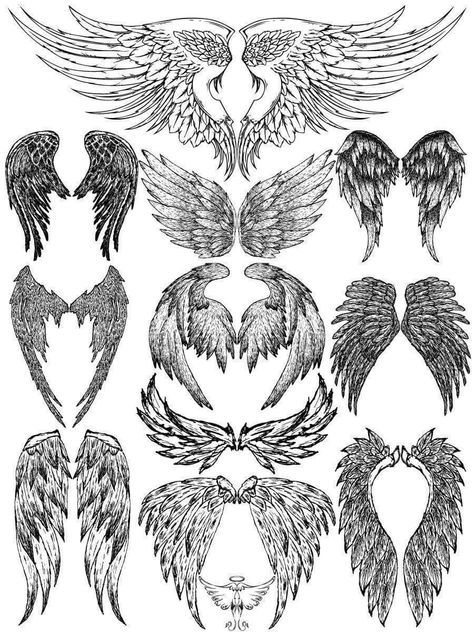 Angel Wing Tattoo, 천사와 악마, Wing Tattoos On Back, Alas Tattoo, Circles Background, Wing Tattoo Men, Wings Sketch, Angel Wings Drawing, Angel Wings Art