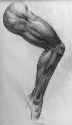 Anatomy Reference Muscle, Leg Anatomy Drawing, Anatomy Art Reference, Legs Anatomy, Anatomy Art Drawing, Legs Reference, Leg Drawing, Character Anatomy, Leg Anatomy