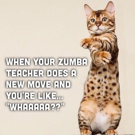 When your Zumba teacher does a new move and you're like "Whaaaa??" (Zumba humor) Dance Transformation, Zumba Meme, Zumba Funny, Zumba Quotes, Obesity Awareness, Zumba Videos, Zumba Instructor, Fitness Dance, Zumba Dance