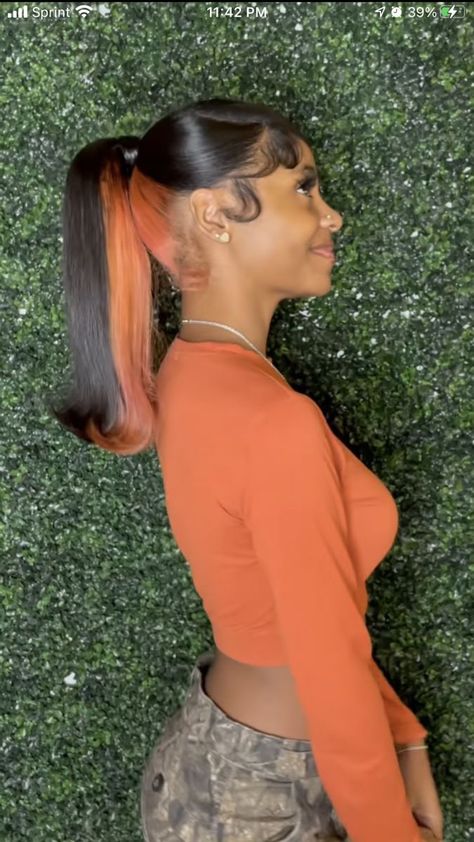 Peekaboo Ponytail Weave, Skunk Stripe Ponytail, Slick Ponytail Weave, Sleek Braided Ponytail, Hair Stripes, Barbie Ponytail, Skunk Stripe, Sleek Ponytail Hairstyles, Frontal Wig Hairstyles