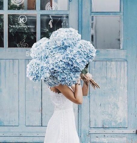 Image about blue in Soft pastels by ⚜️Luna de Antiguedades⚜️ Blue Peonies, Blue Hydrangeas, Blue Wedding Flowers, White Wedding Flowers, Blue Hydrangea, Arte Floral, Beautiful Blooms, Blue Aesthetic, Love Flowers