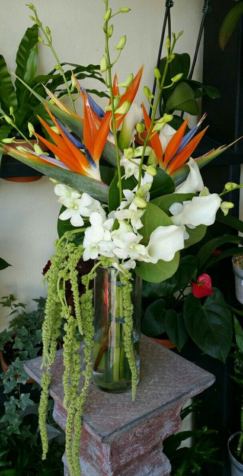 Bird Of Paradise Plant Arrangement, Wedding Bouquets Birds Of Paradise, Bird Of Paradise And Orchid Bouquet, Elephant Ear Wedding Decor, Birds Of Paradise Table Centerpiece, Fake Tropical Flower Arrangements, Bali Flower Arrangement, Bird Of Paradise Arrangement Vase, Birds Of Paradise Floral Arrangement