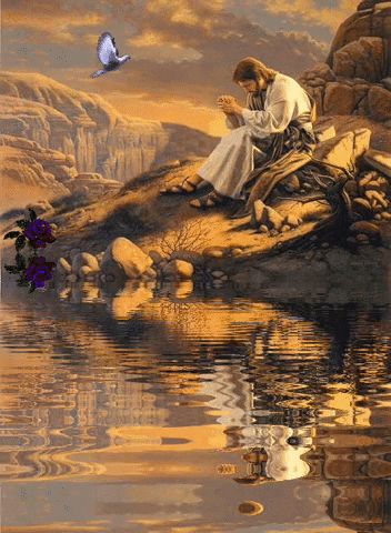 Lds Artwork, Jesus Our Savior, Images Of Christ, Pikachu Wallpaper, Pictures Of Christ, Jesus Praying, Religious Pictures, Bible Pictures, Pictures Of Jesus Christ