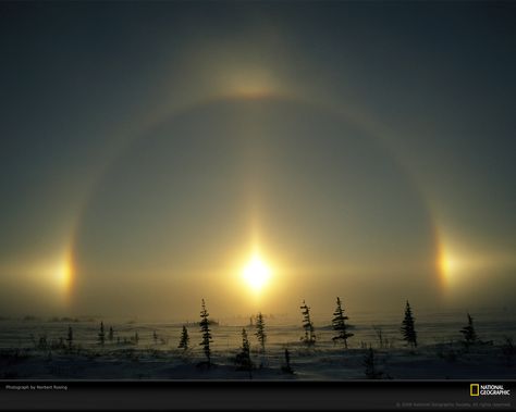 Sundog Light Phenomenon, Manitoba, Canada, 2005.  Photograph by Norbert Rosing #sun #canada Sun Dog, Sun Dogs, Belle Nature, Atmospheric Phenomenon, Sun Sets, To Infinity And Beyond, Natural Phenomena, Beautiful Sky, Heaven On Earth