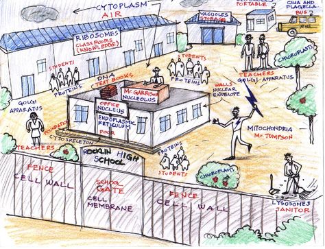 Plant Cell Analogy Project Ideas, Cell City Project Ideas Drawing, Organelles Project, Cell City Project Ideas, Cell Organelle Project, Cell Analogy Project Ideas, Cell Analogy Project, Cell City Project, Analogy Worksheet