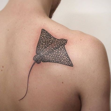 Tattoo by: @tallontattoo  #ToraSumi  Make a Booking Today!  Tora Sumi Tattoo - 381 Darling Street Balmain  shop@torasumi.com.au |  (02) 9818 5045  License No. 010576 Eagle Ray Tattoo, Sumi Tattoo, Beach Inspired Tattoos, Underwater Tattoo, Ocean Sleeve, Stingray Tattoo, Ray Tattoo, Eagle Ray, Jellyfish Tattoo