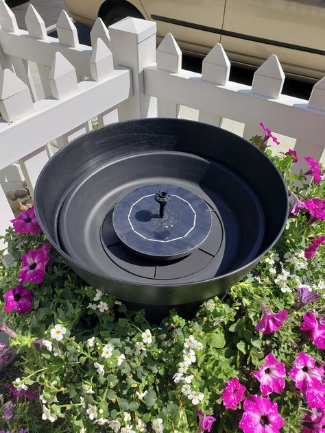 Small Solar Water Fountains Outdoor, Bird Bath Fountain Ideas, Solar Fountains Outdoor Diy, Solar Fountain Ideas, Modern Bird Baths, Solar Bird Bath Fountain, Solar Powered Water Fountain, Solar Powered Water Pump, Solar Water Feature