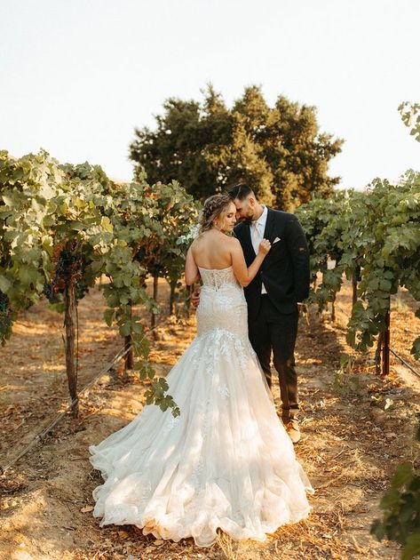 bride and groom photos at fall vineyard wedding Vineyard Wedding Ceremony, Pregnancy Photoshoot Beach, Outdoor Vineyard Wedding, Fall Vineyard Wedding, Starry Night Wedding Theme, Maternity Shoot Beach, Fall Vineyard, Winery Wedding Photos, Beach Maternity Photos