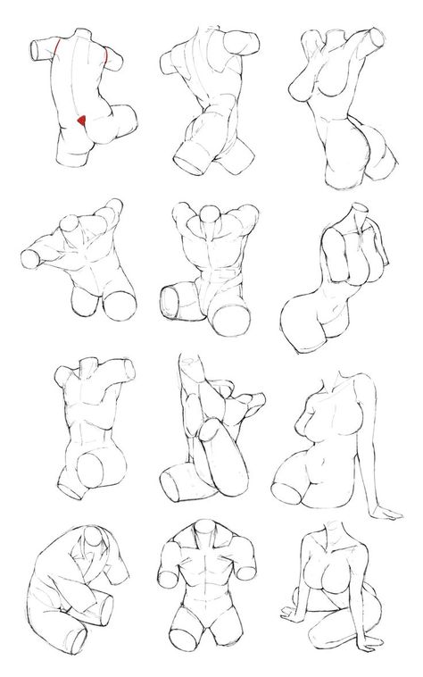 Torso Drawing Female, Sugestive Reference Pose, Woman Torso Reference, Female Torso Reference, Woman Torso, Feminine Body, Body Female, Female Torso, Human Anatomy Drawing