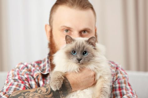 Die besten Inspirationen für Katzen-Tattoos | herz-fuer-tiere.de Hat Man, Tattoos, Animals