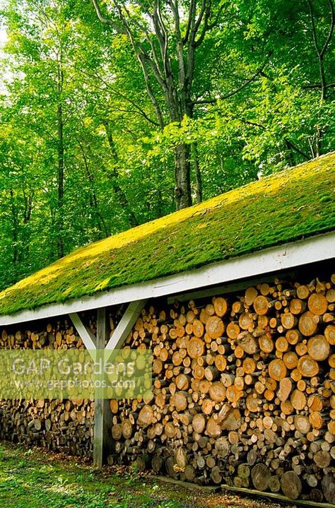 Log store with moss covered roof Moss Roof, Bin Design, Underground House, Garden Business, Growing Moss, Backyard Views, Kayak Storage, Green Roofs, Log Store