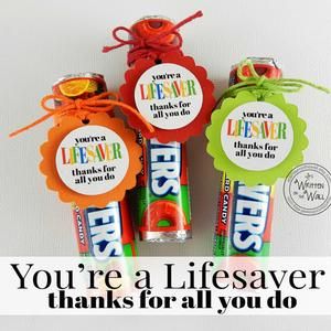 Pre-Made You're a Lifesaver Tag CoWorkers First | Etsy Lifesaver Candy, Volunteer Appreciation Gifts, Appreciation Gifts Diy, Staff Appreciation Gifts, Recognition Gifts, Blood Drive, Volunteer Gifts, Volunteer Appreciation, Staff Gifts