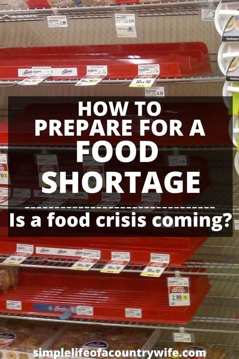 food shortage Food Shortage Prep List, Preparing For Food Shortage, Food Shortages 2023, 3 Month Emergency Food Supply List, What To Stock Up On For Food Shortage, Stock Pile Food List, Long Term Food Storage List, Foods To Stock Up On, Emergency Food Supply List