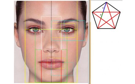 Golden Ratio | Golden Ratio - Face and Pentagon - 101qs Golden Mean Ratio, Golden Ratio In Nature, Golden Ratio Art, Gold Ratio, Facial Proportions, Face Proportions, Head Anatomy, Anatomy Models, The Golden Ratio