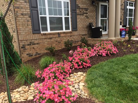 Pink Drift Roses Red Drift Roses Landscape, Drift Roses Landscape, Drift Roses Landscape Ideas, Roses Landscape, Drift Roses, Best Roses, Flower Bed, Landscape Ideas, Yard Landscaping